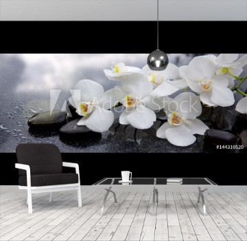 Bild på White orchid and black stones close up